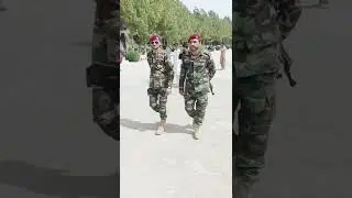 ssg commando Soldier | 
