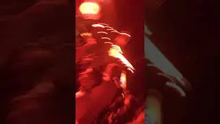 Let it roll 2017 - netsky 3