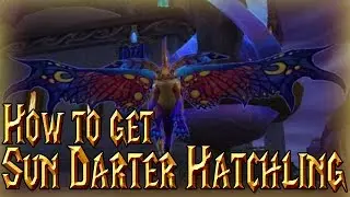 How to get the Sun Darter Hatchling│World of Warcraft Legion