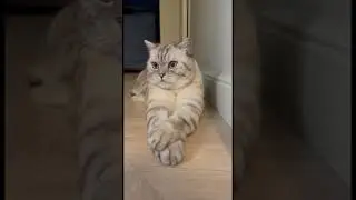 Теперь вы знаете.