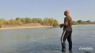 Жерех и терпение Жерех и его вредность...