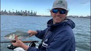 Sydney Harbour Fly Fishing Fun By Compleat Angler Sydney