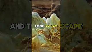 Dünyanın En Zorlu Manzarasında Hayatta Kalmak: Ölümcül Danakil Çölü! #danakil #desert