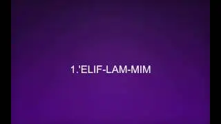 ELIF-LAM-MIM