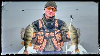 РЫБАКОВ БОЛЬШЕ ЧЕМ РЫБЫ! НО МЫ СВОЮ ПОЙМАЛИ.ЛОВИМ ОКУНЯ НА ДЖИГ