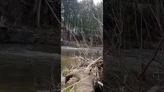 Bloated Spring River