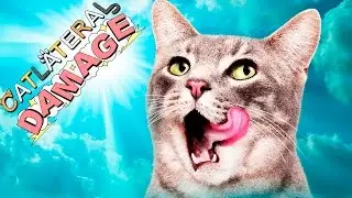 I'M A KITTY CAT! | DOGE SUBDAY 6 | Catlateral Damage