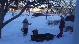 Нам морозы нипочём, если мы всегда втроём / Гуляют с папой