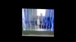 пузырьковая перегородка с рыбками Steklospektr
