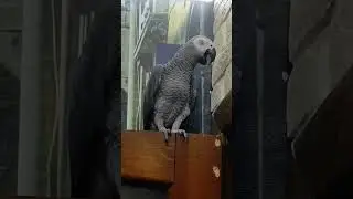 Сеня в хорошем настроении 
