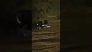 FUS RO DAH MASS EFFECT