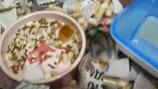 1=Изучаем новый домик