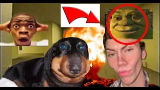 PLAYING SHREK IN THE BACKROOMS (NUKED THE SERVER)