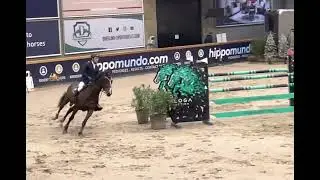 Onyx - mare, 2014, by Numero Uno x Cristo. CSI2*, 140cm - placed.