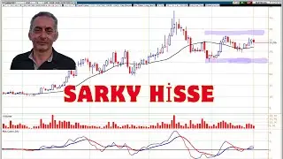 SARKY Hisse Senedine Yatırım Yapılır mı?