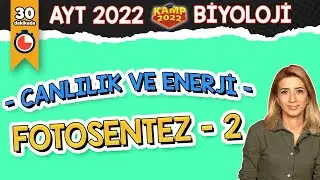 Fotosentez - 2 | AYT Biyoloji 