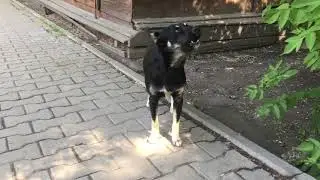 Что такое «проекция»?