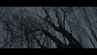 The Road (2009) second trailer