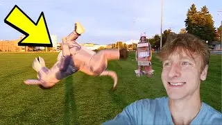 I Did Flips Wearing the Weirdest Costume