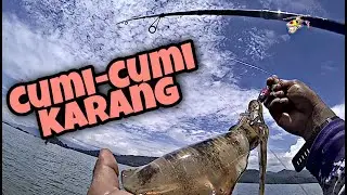 Dapat cumi-cumi sebesar besar ini lumayan juga