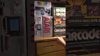 AVGN Uses Resident Evil's Inventory in REAL LIFE