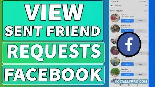 How to View Sent Friend Requests on Facebook App | 2022