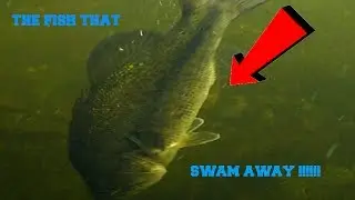 I SHOULDNT HAVE DONE THAT!!!!!! HITTING WAVES AN SLAYING BASS
