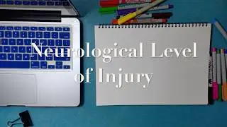 Neurological Level of Injury
