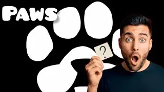 How to Farm PAWS on Telegram | Earn Rewards with TON’s New Game!