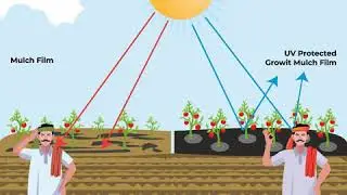 Mulch Film | UV Protected Mulch Film | Mulching Sheet - Growit Mulching Sheet