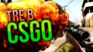 Играю на беркутах,лемах CS:GO