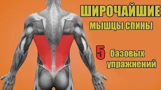 ШИРОЧАЙШИЕ МЫШЦЫ СПИНЫ. 5 БАЗОВЫХ УПРАЖНЕНИЙ. + ОШИБКИ УБИВАЮЩИЕ ПРОГРЕСС!