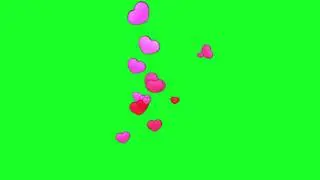 flowers green screen effects ,green screen effects