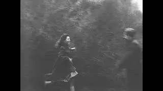 Paul Armfield - Take This Kiss