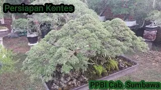 Persiapan Kontes