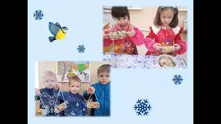 Зимняя подкормка птиц