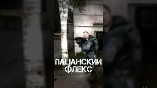 СТАЛКЕР ФЛЕКСИТ смотреть до конца! 