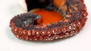 Braised Octopus with Gochujang Aioli / 뉴욕 정식당 문어요리 레시피