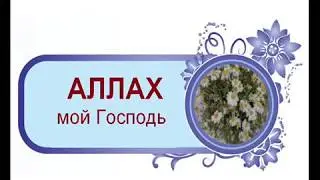 Уроки по таухиду для детей! Школьная программа: Таухид - 1 класс - 1 урок