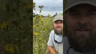 Defending Roadside Prairies!! #grasslands #conservation #roadsides #alabama