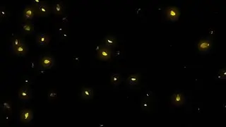 kinemaster status leaf effect