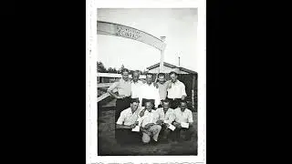 De wortel van gras