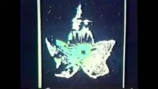 The Phantom Leaf in Kirlian Photography--The Etherial Energy Body of Living Things