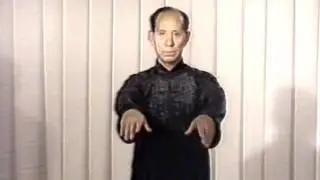 36. Мультимедийный учебник по Тайцзи-цюань стиля ЯН. Портал VIPv.RU