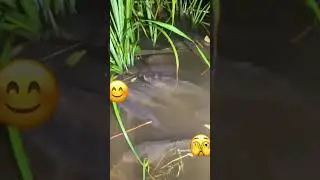 Хотел сам посидеть на бережку)! Рыбалка руками!