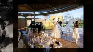 Queen Elizabeth Park Pavillion ceremony - Vancouver wedding photography - Sara & Pouya
