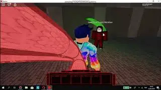 Uzun Zamandan Sonra Yeni Video (ROBLOX)