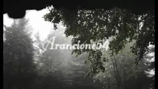(slowed) the carpenters - rainy days and mondays