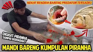BERBAHAYA! NEKAT MANDI BARENG PULUHAN PIRANHA GANAS! TERNYATA INILAH YANG TERJADI!
