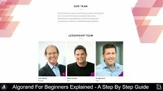 Algorand For Beginners Explained   A Step by Step Guide